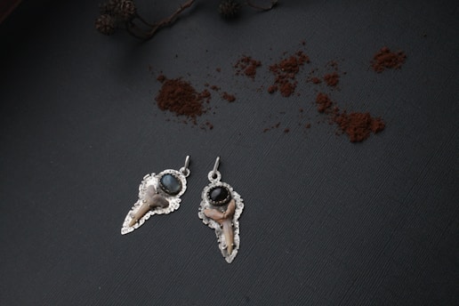 Two metallic earrings with intricate designs are placed on a dark textured surface. Each earring has a shiny, dark bead and what appears to be a small bone embellishment. Scattered around them is a sprinkling of brown powder. In the upper left corner, there is a dried branch with a few small cones attached.