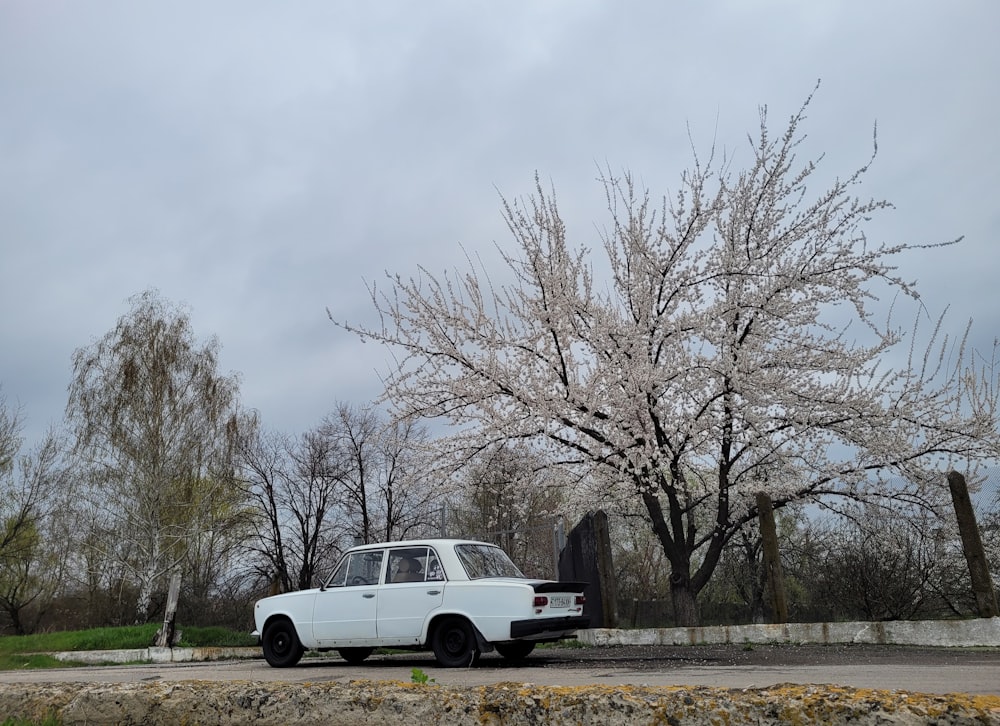 a white car parked in front of a tree