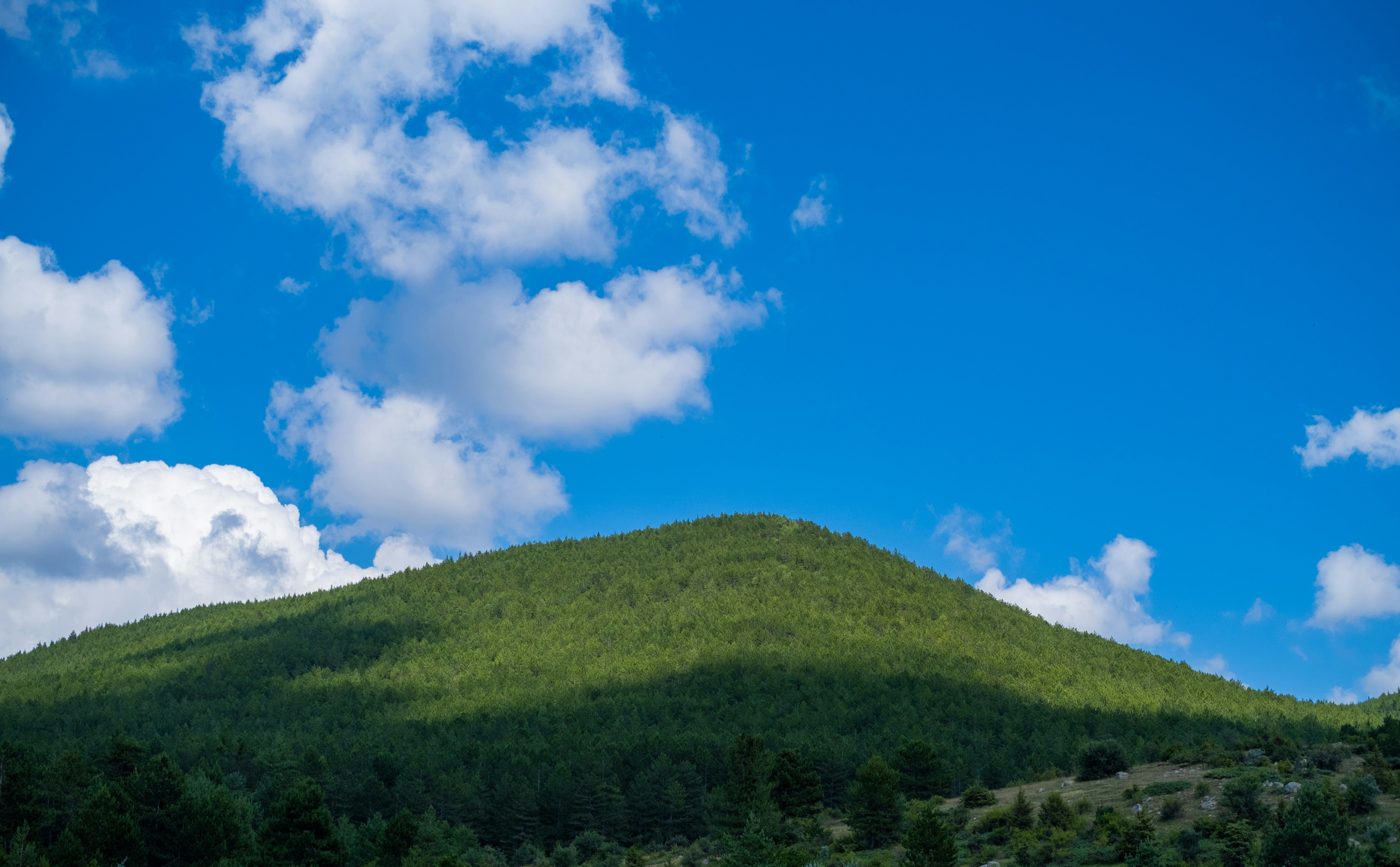 Timing Analysis for Cloud-Native Applications: Lessons from Vector's Integration with RocqStat