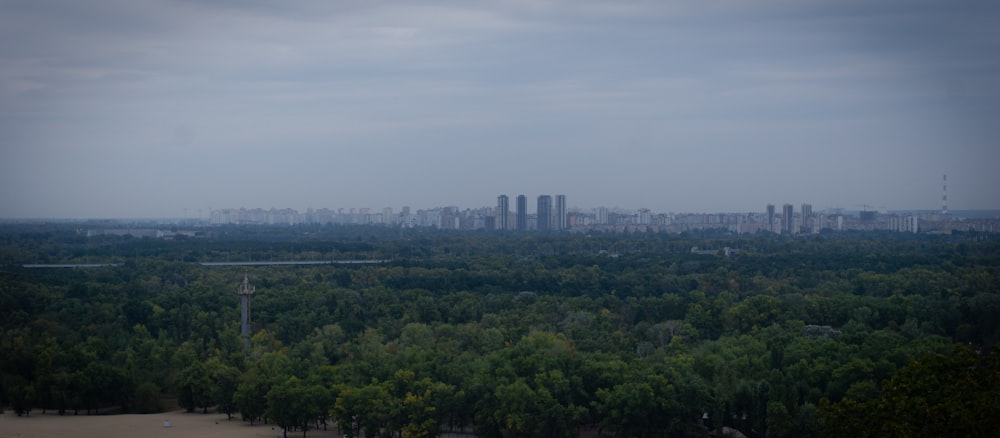 a view of a city from a distance