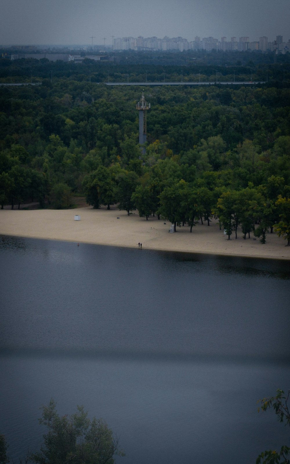 a large body of water surrounded by trees