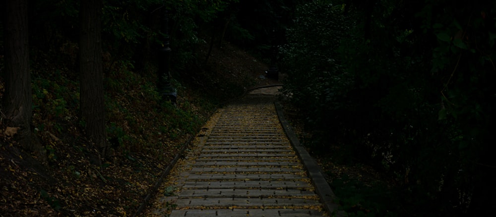 Un sentiero di pietra nel mezzo di una foresta