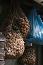 Large mesh bags filled with walnuts hang from hooks against a muted, rustic background. One bag is made of a coarse netting material and another is blue plastic. The lighting is subdued, casting soft shadows and highlighting the texture of the walnuts and bags.