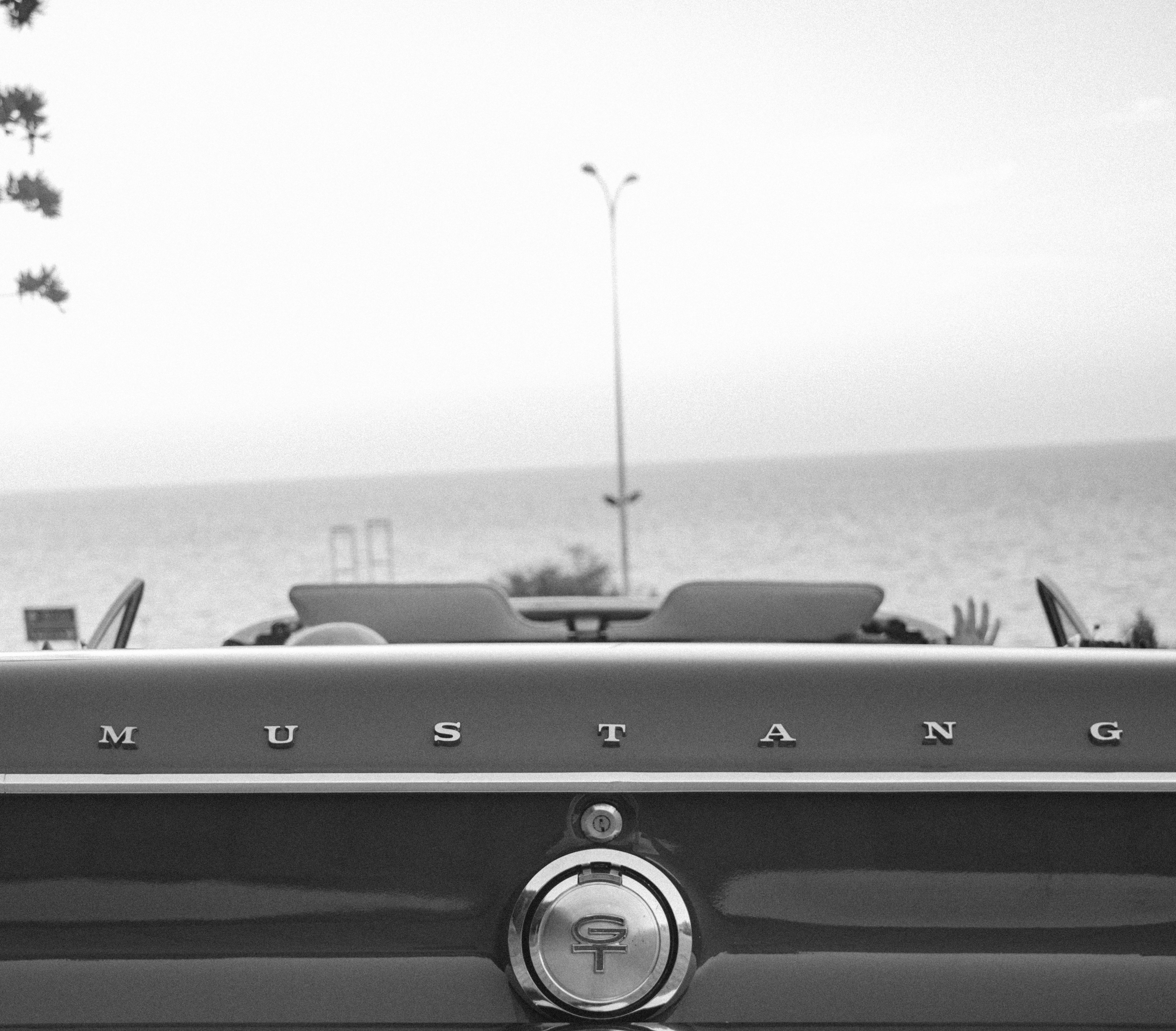 Una foto in bianco e nero di una Mustang