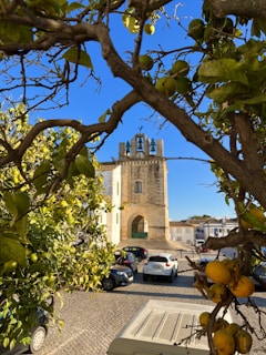 Traditional Sicilian courtyard with lemon trees and tiled floors
