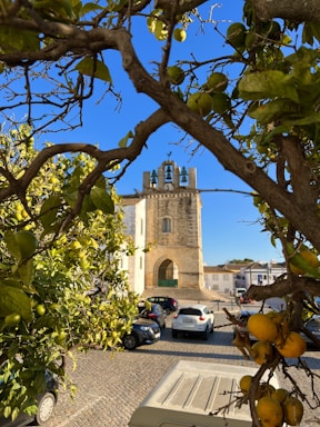 Traditional Sicilian courtyard with lemon trees and tiled floors