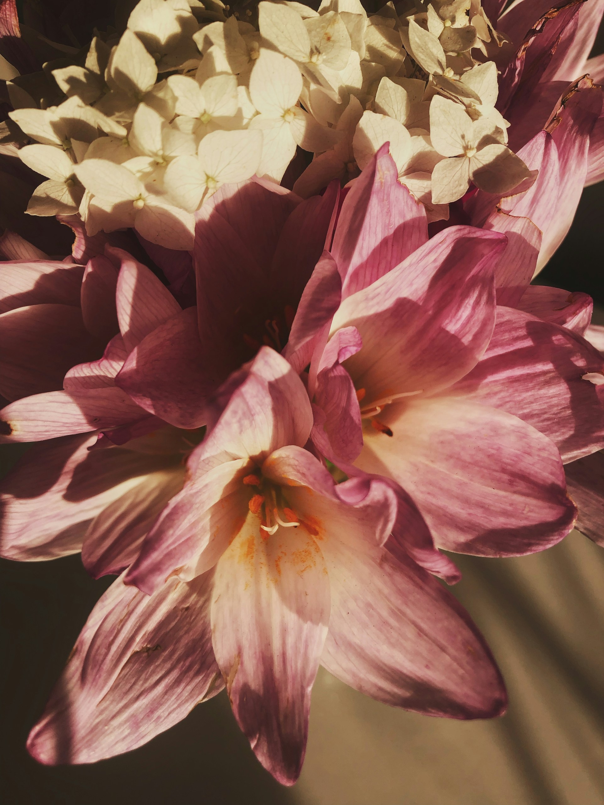 woman wearing yellow long-sleeved dress under white clouds and blue sky during daytime
