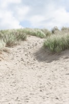 Footprints on a dusty trail winding up a steep hillside with panoramic views.