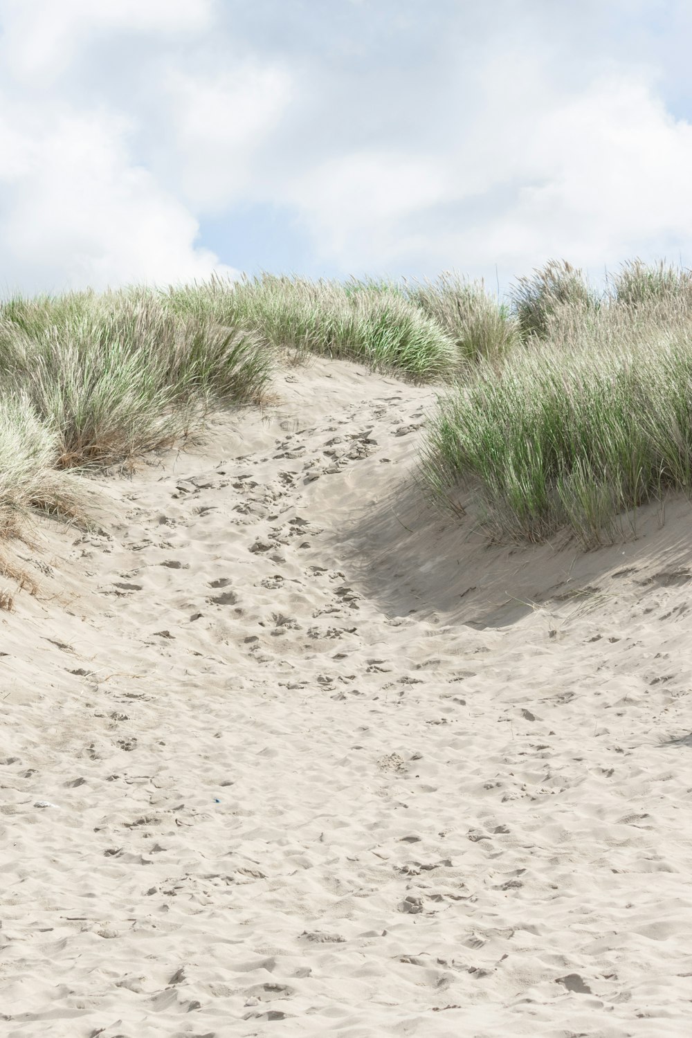 ein Sandstrand mit Gras und Sanddünen