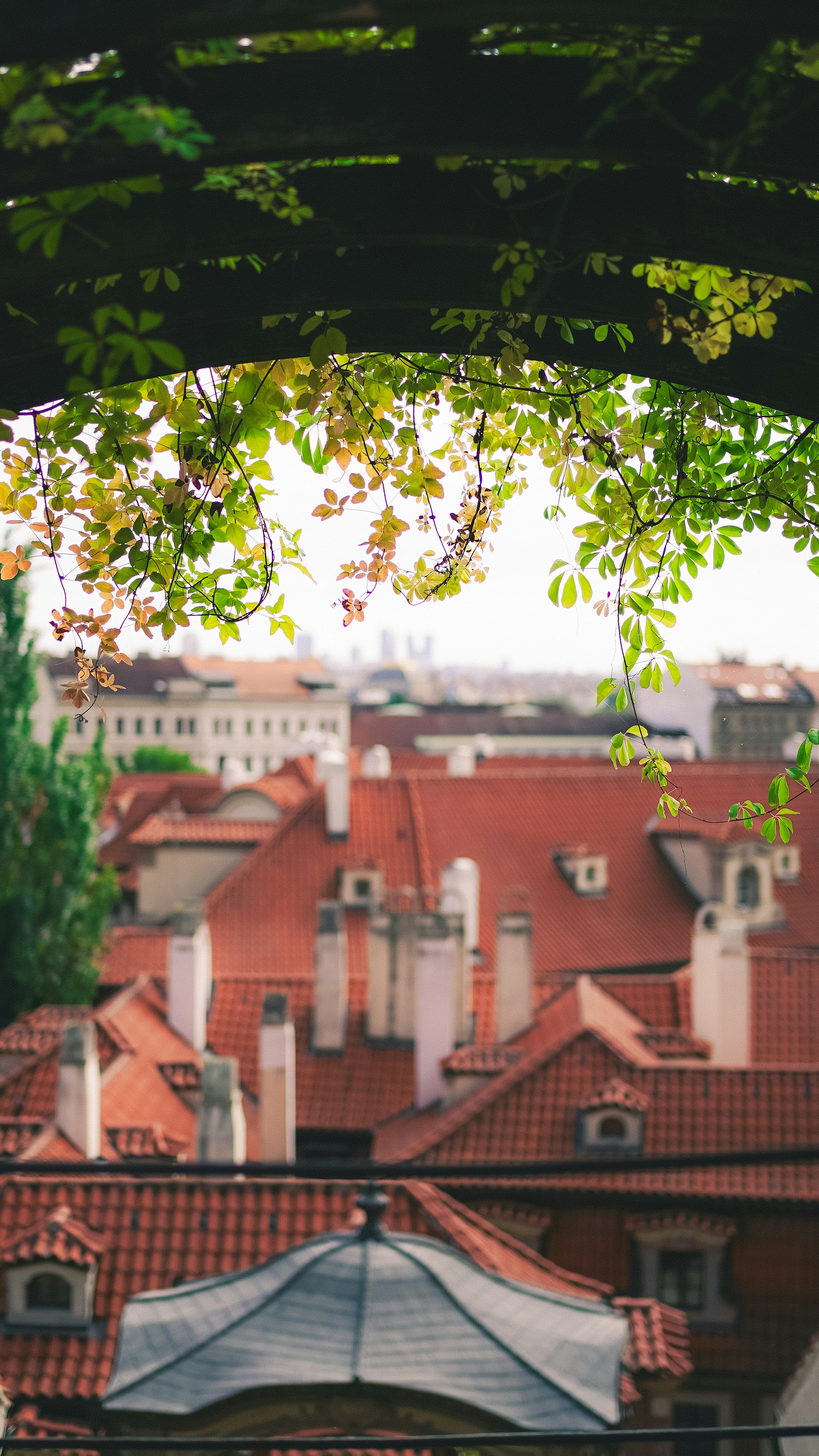 a view of a city from a roof of a building