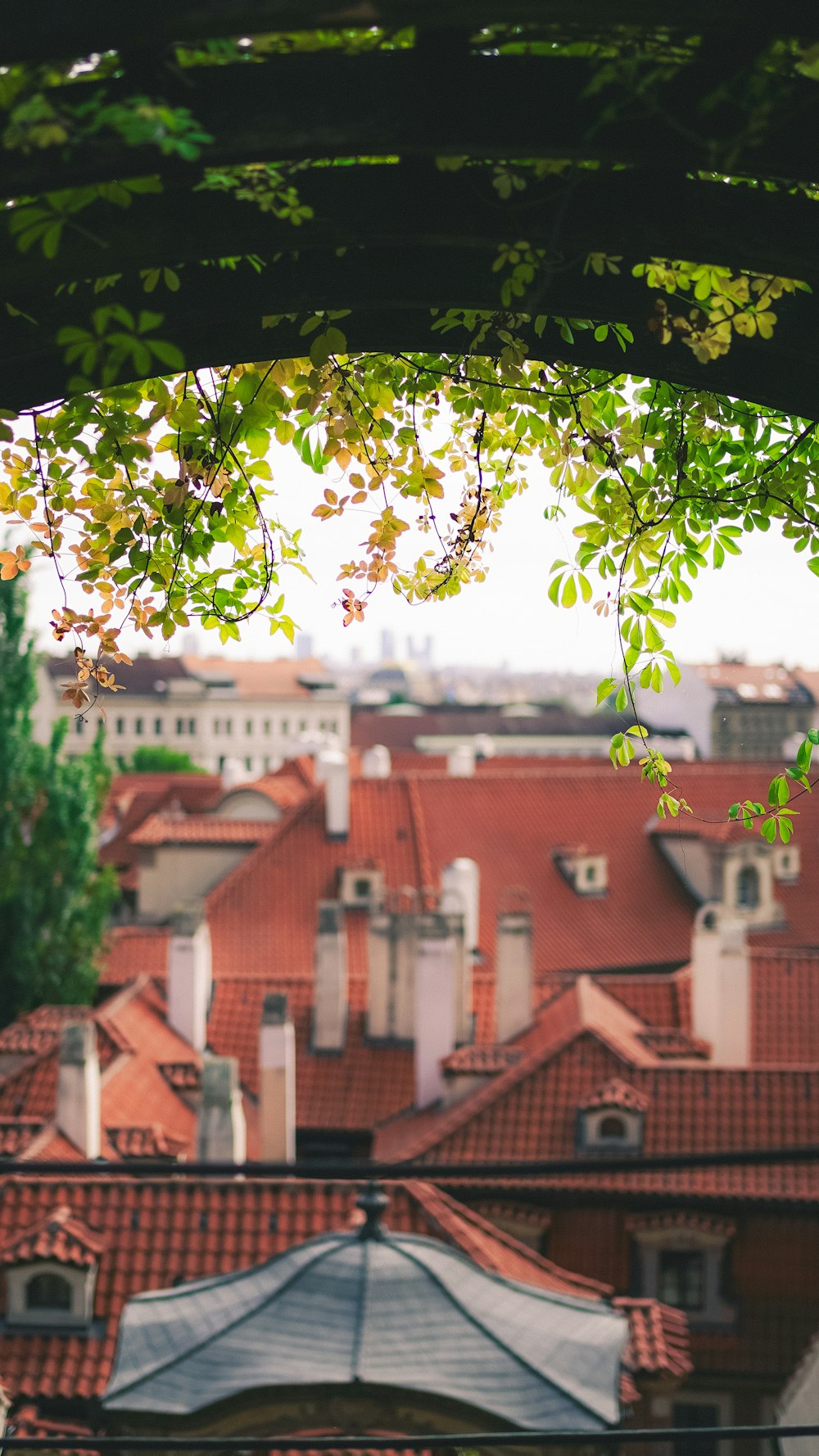 a view of a city from a roof of a building