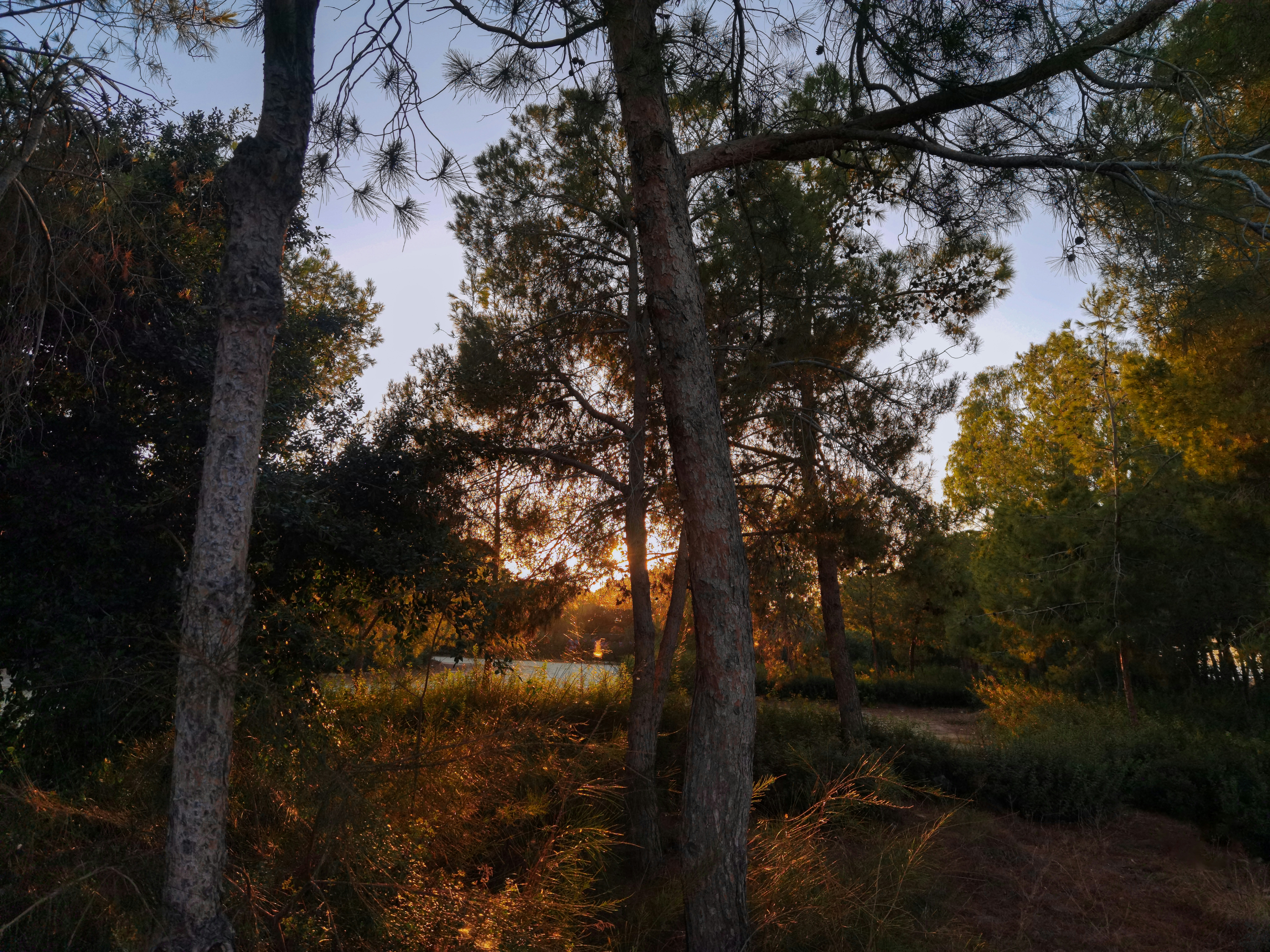 Ivis Maliotou Park