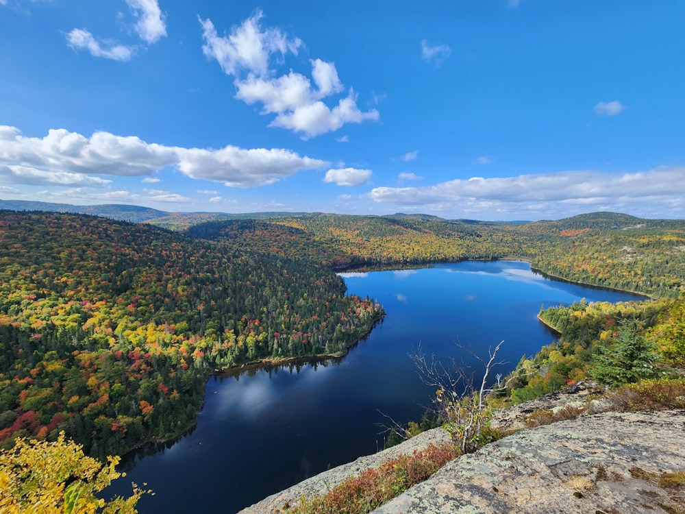 a large body of water surrounded by trees