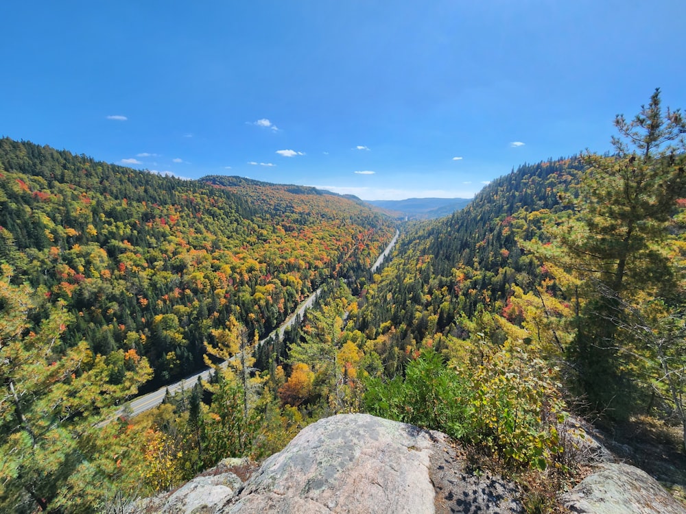 a scenic view of a valley surrounded by trees