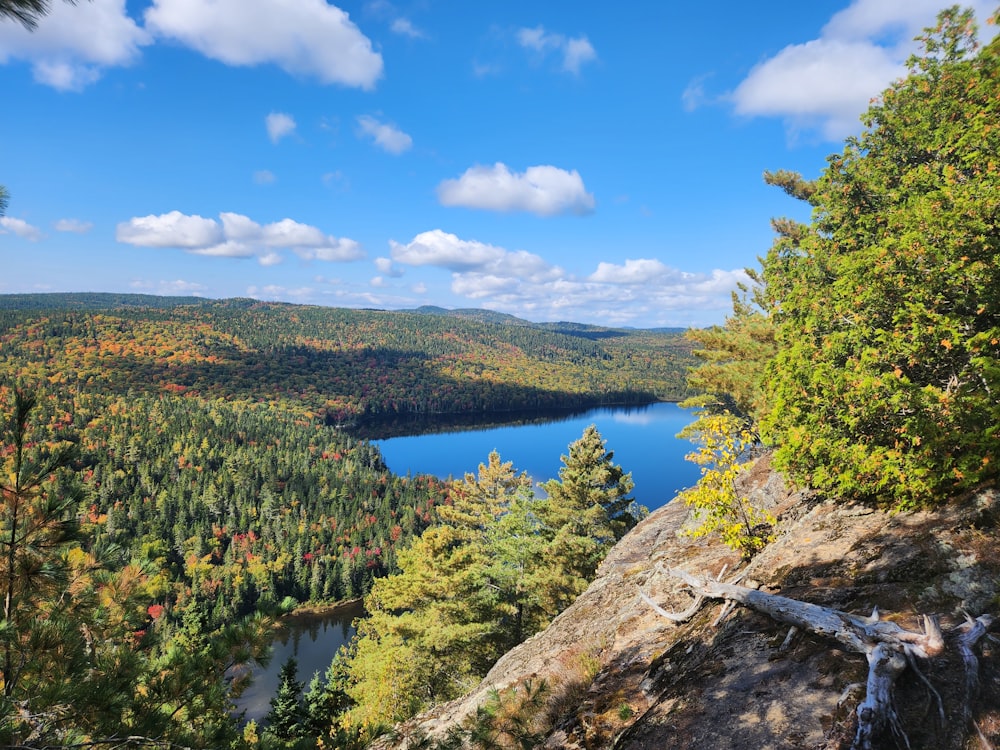 a scenic view of a lake surrounded by trees