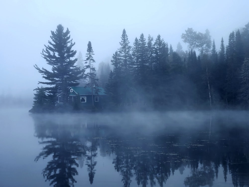 a house sitting on top of a lake surrounded by trees
