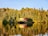 A small cabin with a red roof is nestled among dense forests of tall green and golden trees, situated on the edge of a calm lake. The clear water reflects the vibrant colors of the trees and the cabin, creating a mirror-like effect.