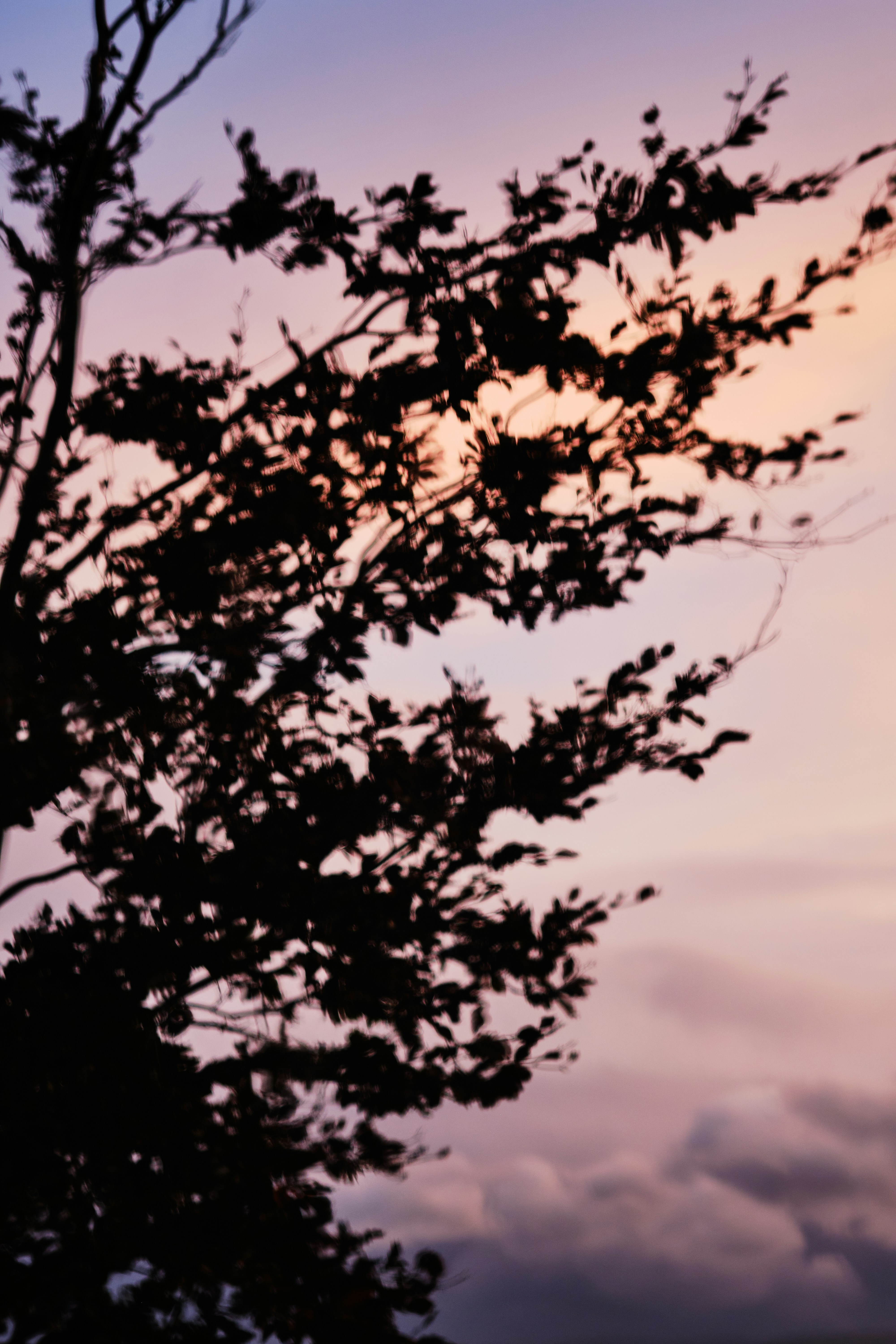 Photo by frostroomhead