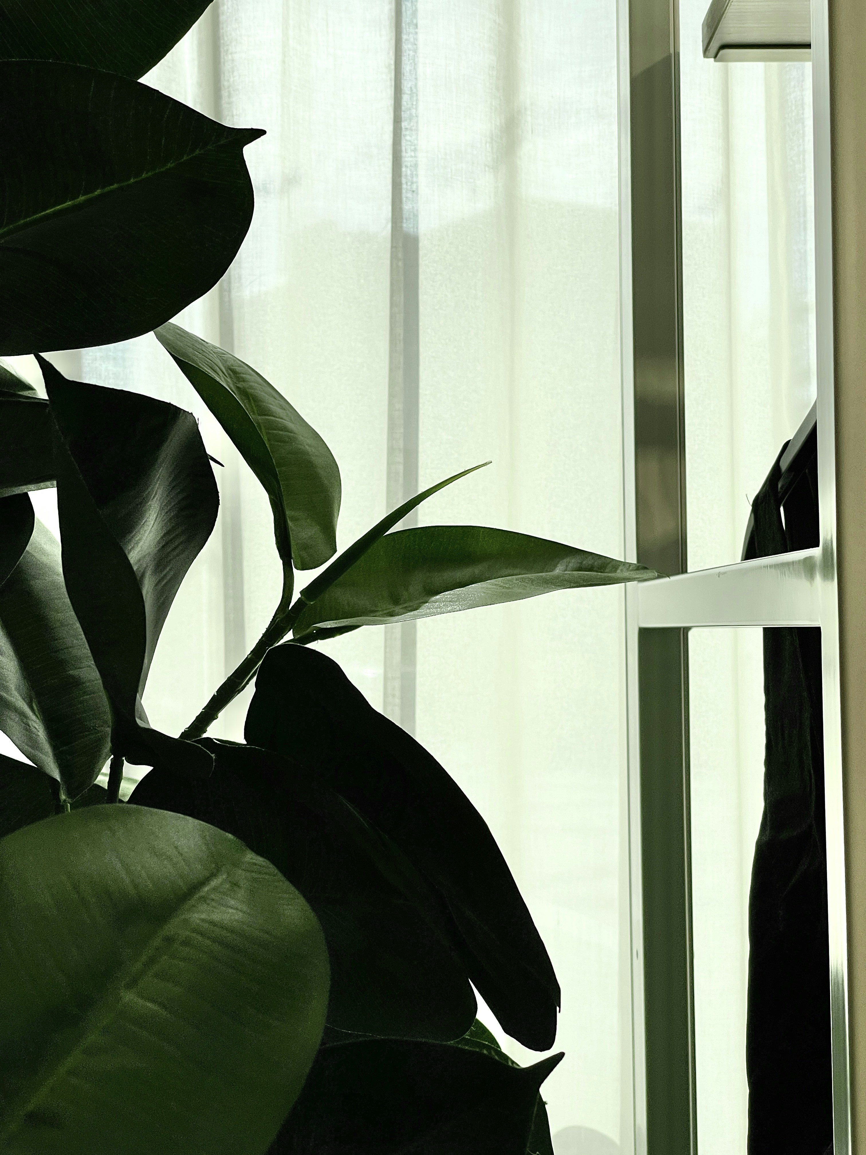 Photo by rakshityadav190