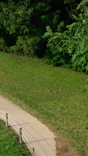 A scenic path along the Friedgraben inviting locals for a walk or bike ride.