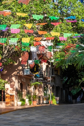 A vibrant street decorated with colorful papel picado banners hanging above. The street is lined with trees and a building featuring a sign with a black circular design. Potted plants are placed along the sidewalk, and sunlight creates patterns of light and shadow.