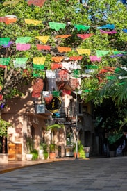 A vibrant street decorated with colorful papel picado banners hanging above. The street is lined with trees and a building featuring a sign with a black circular design. Potted plants are placed along the sidewalk, and sunlight creates patterns of light and shadow.