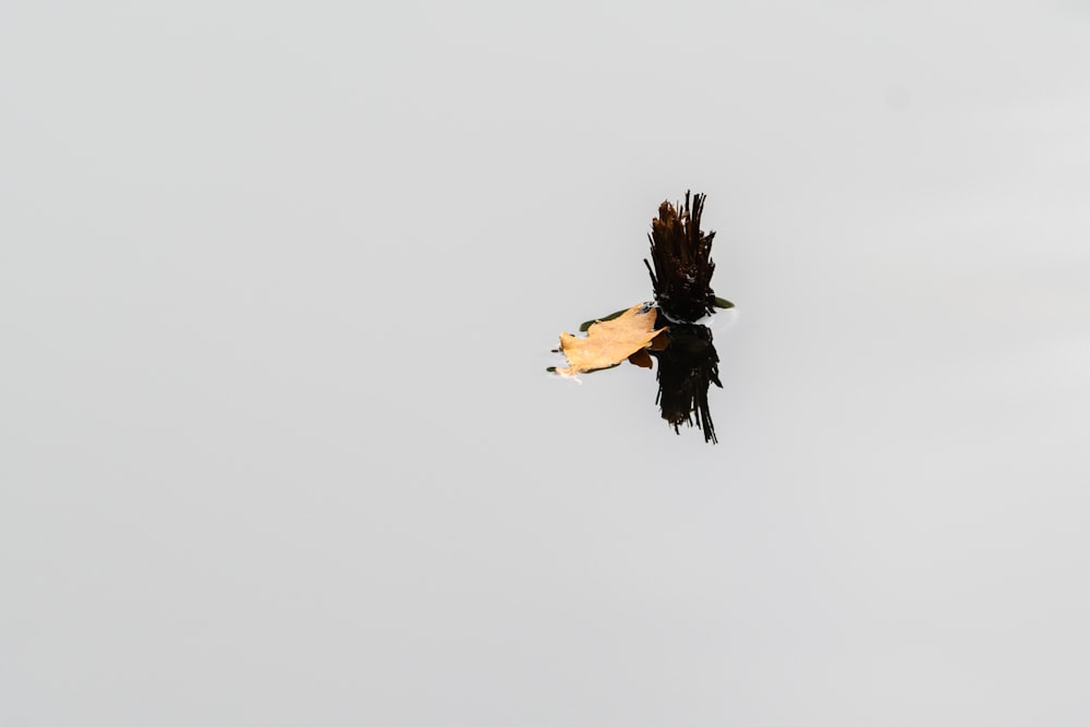 a large bird flying through a cloudy sky