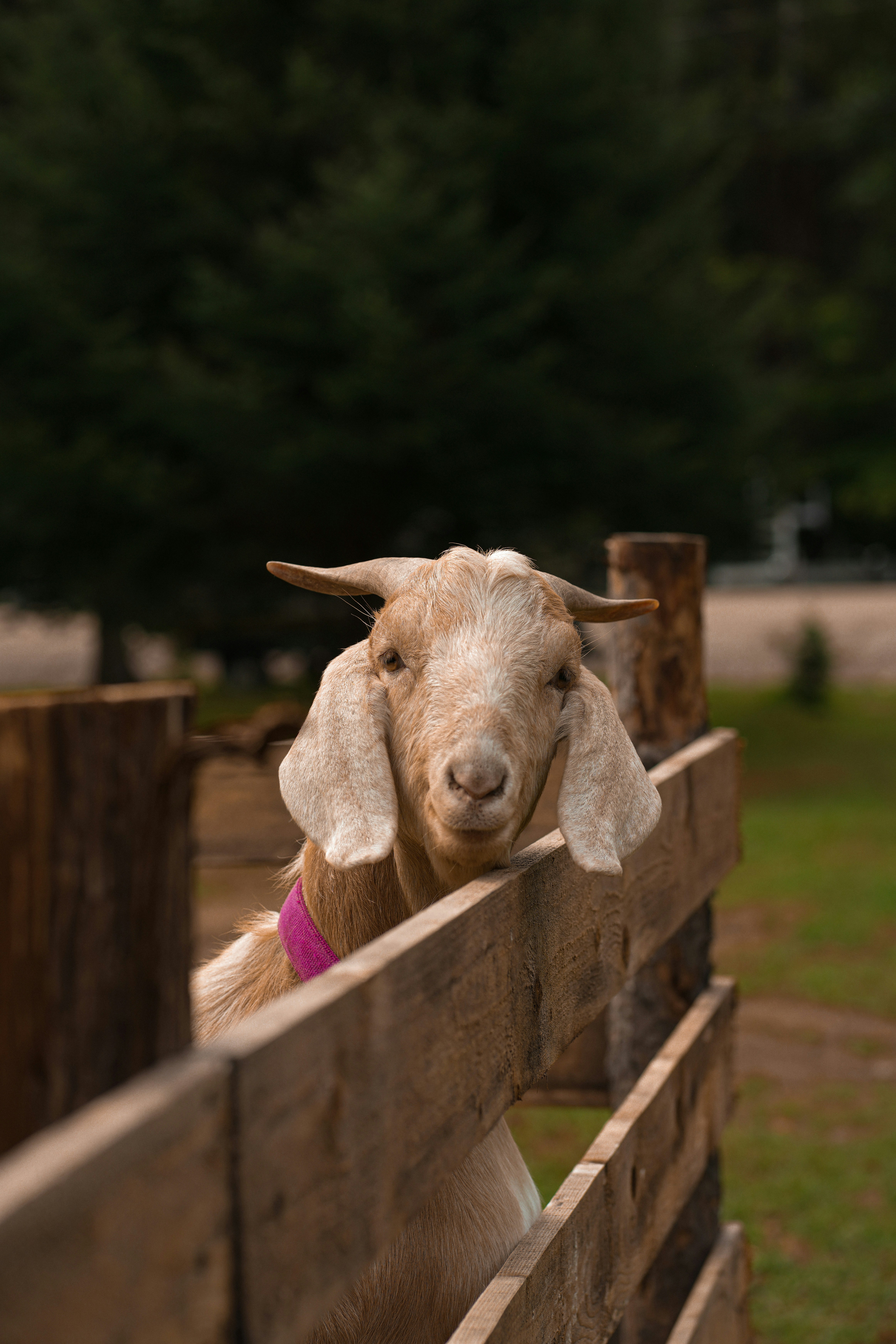 Photo by jltphotographe