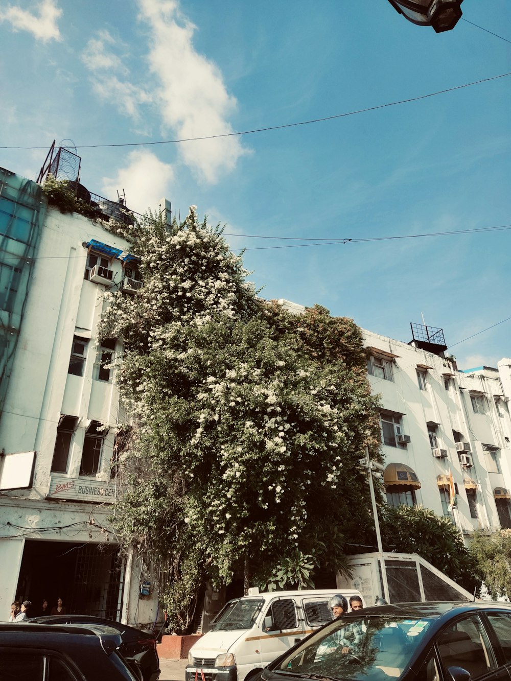 cars parked on the side of the road in front of a tall building