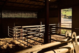 a barn with a metal fence and a cow in the background