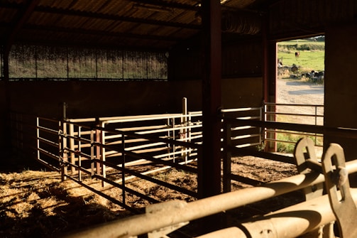 a barn with a metal fence and a cow in the background