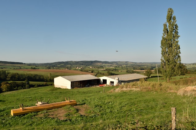 A vibrant farm landscape with green fields and livestock under a clear sky.