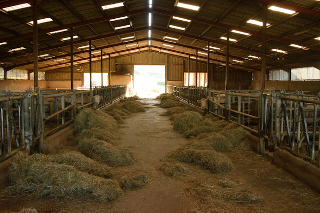 Ecological pest control setup in a livestock barn
