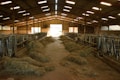 A spacious barn with a high, metal roof and open sides. Piles of hay are scattered along the concrete floor. Metal feeding stalls line both sides of the barn, and faint light filters through the structure, creating an earthy and rustic atmosphere.