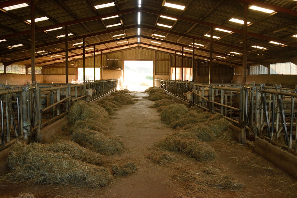 a barn filled with lots of hay next to a doorway