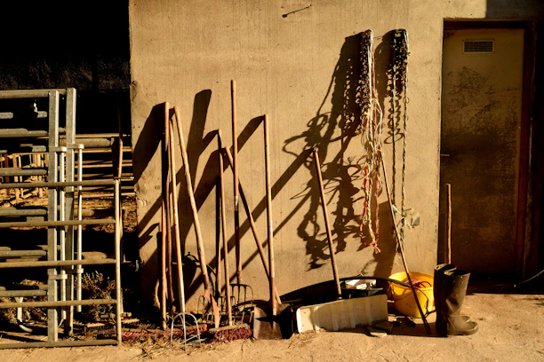 A rustic display of old farm tools hanging on weathered barn wood.