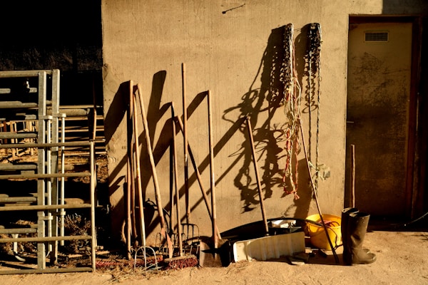 Photo 1696168018189 Ca371f0fb04e?q=85&w=700&h=400&fit=crop