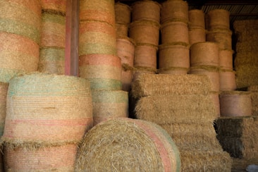 A large number of stacked hay bales are inside a barn. The hay bales are cylindrical and wrapped in multicolored netting, primarily in shades of tan, pink, and green. Some square bales are also visible, adding variety to the arrangement. The setting suggests a rural or farming environment.