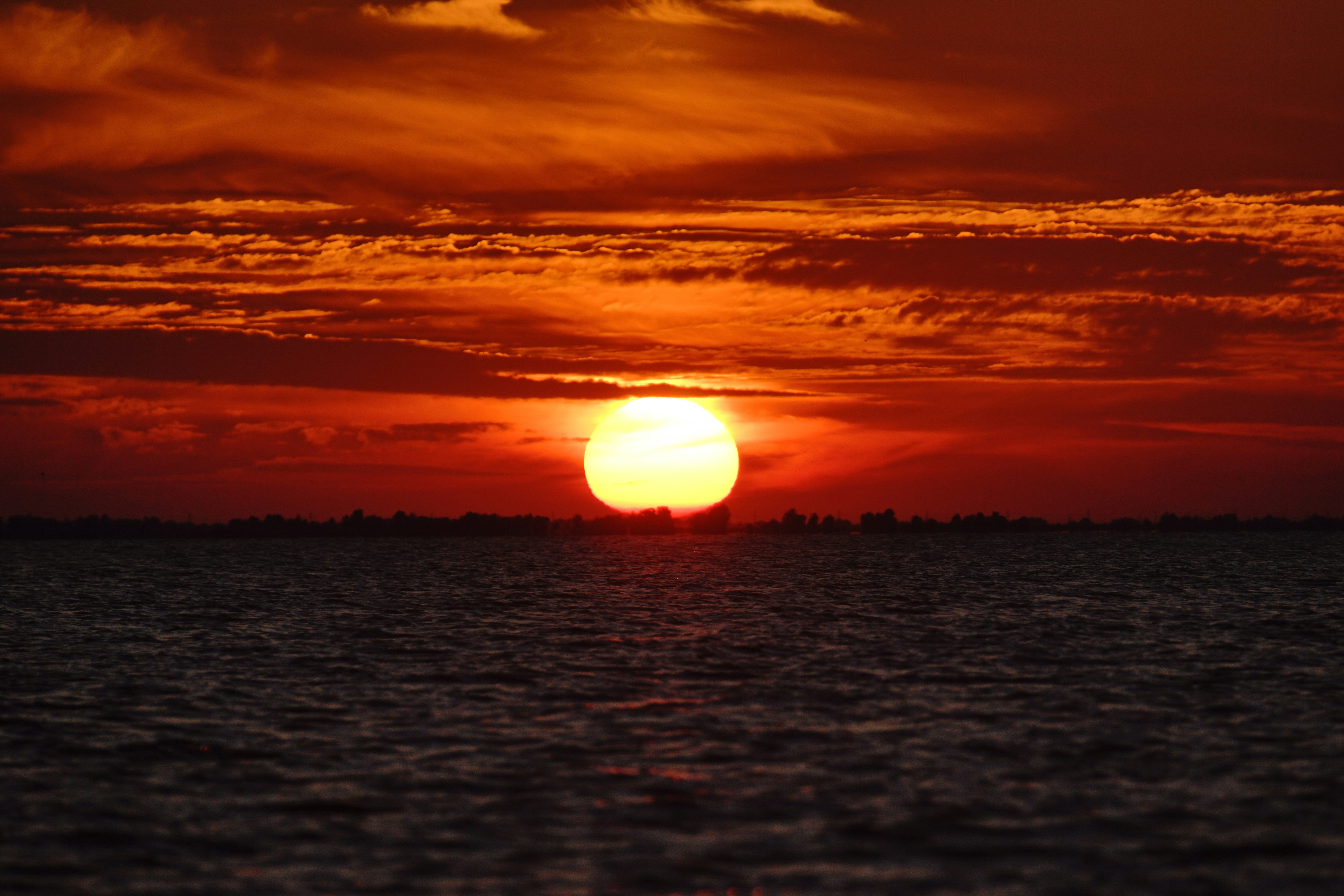 Photo by vladionut93