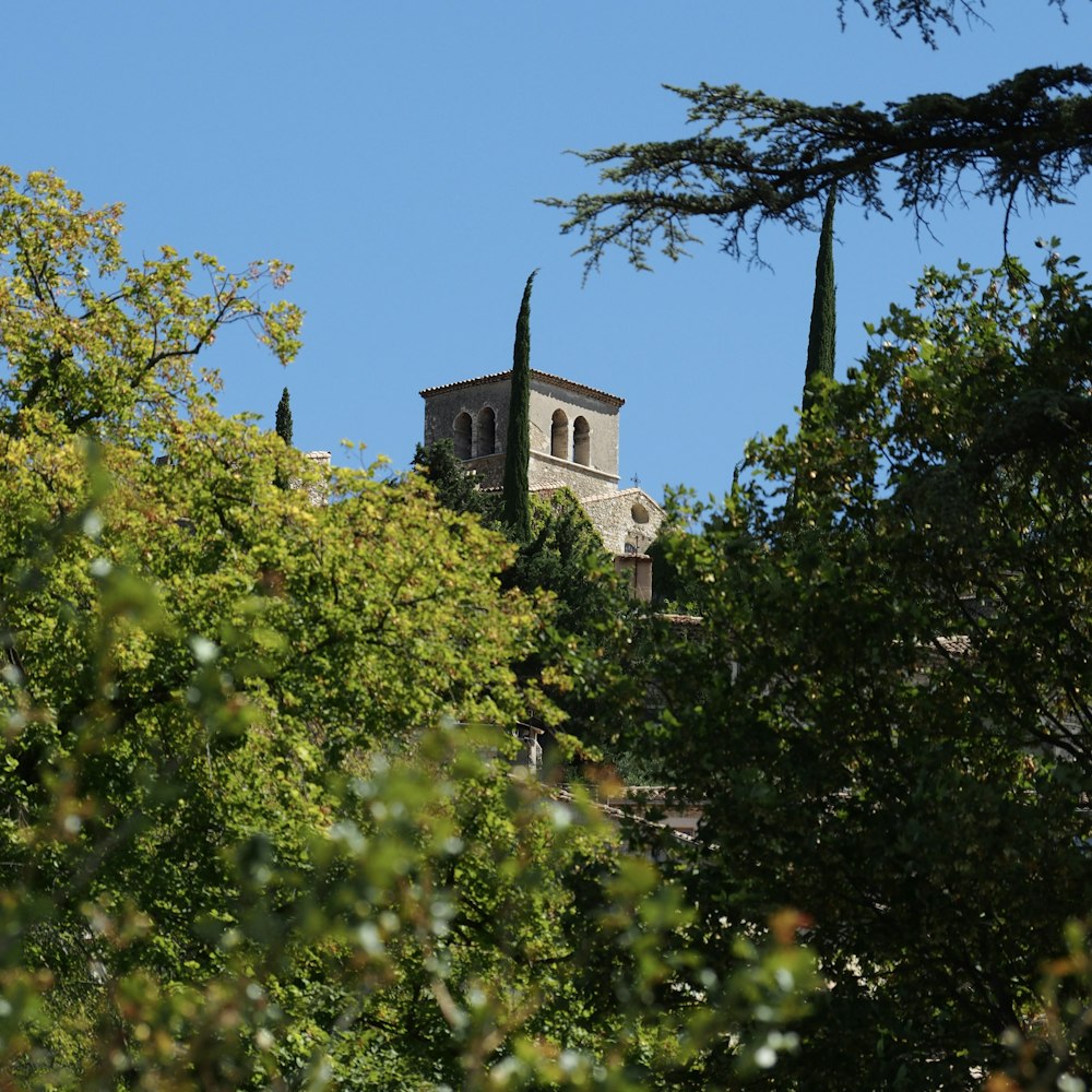 a tower with a clock on top of a building surrounded by trees