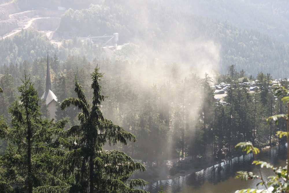 a view of a foggy forest with a house in the distance