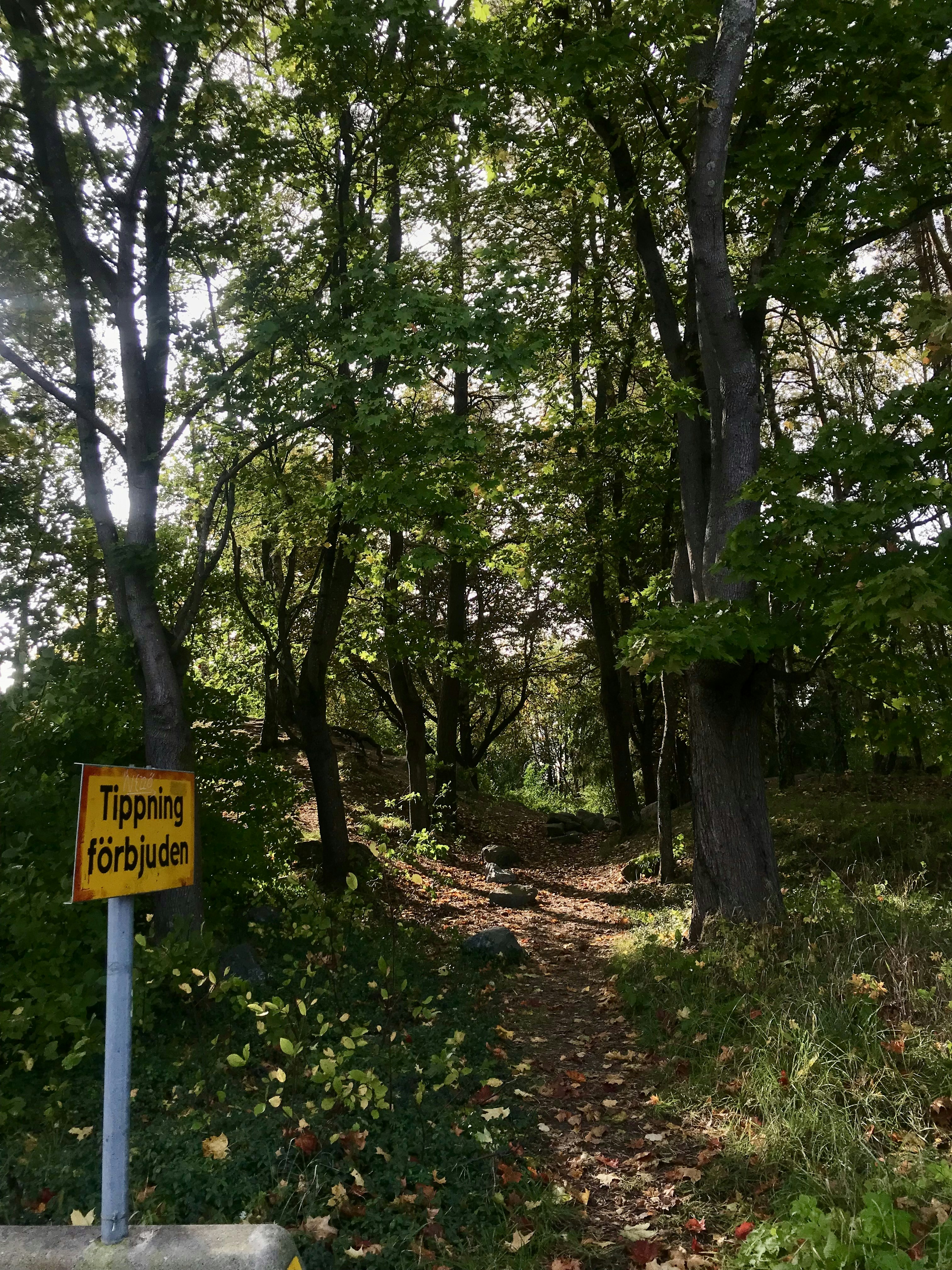 Photo by minehacisalihog