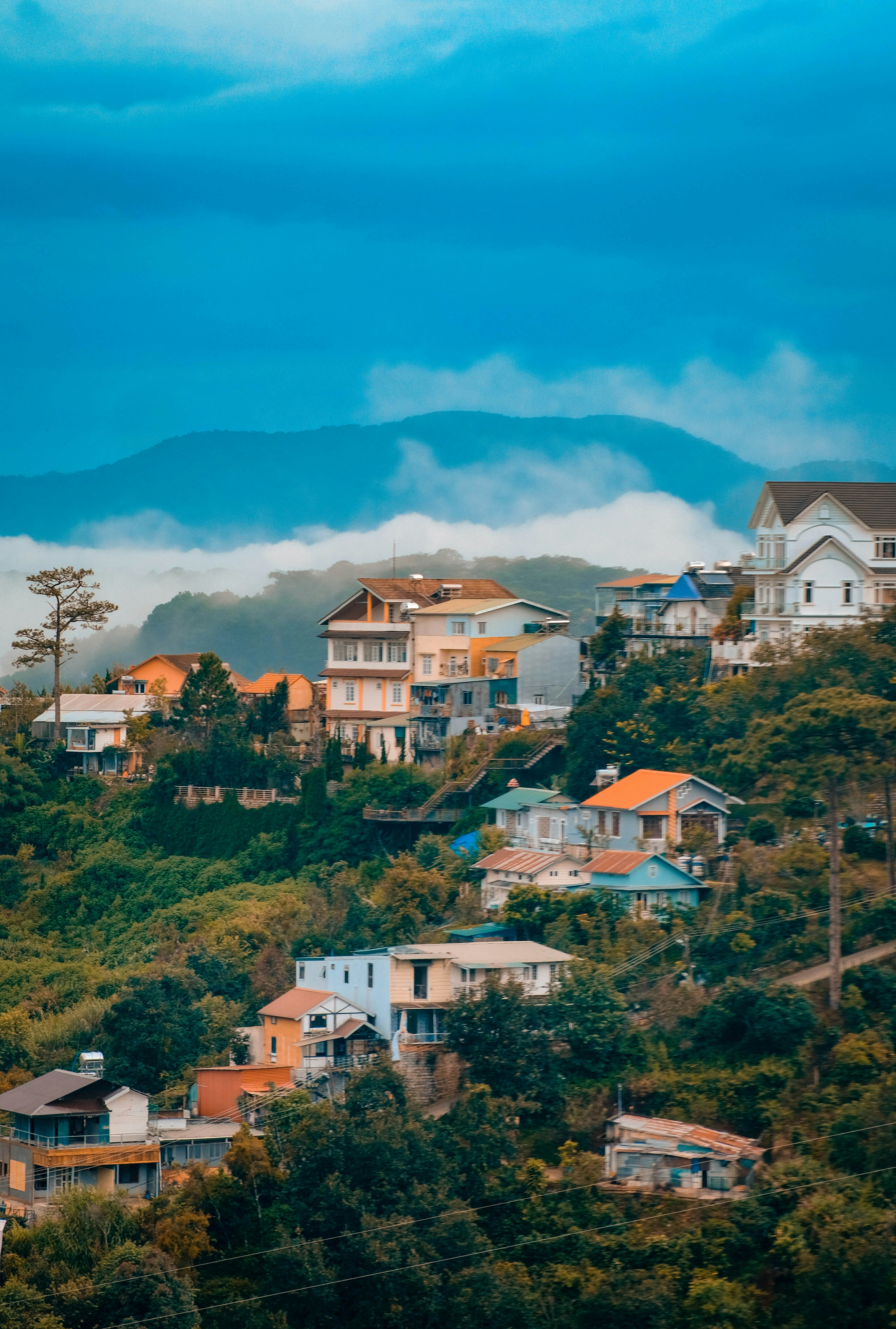 Photo by anniehatuanh