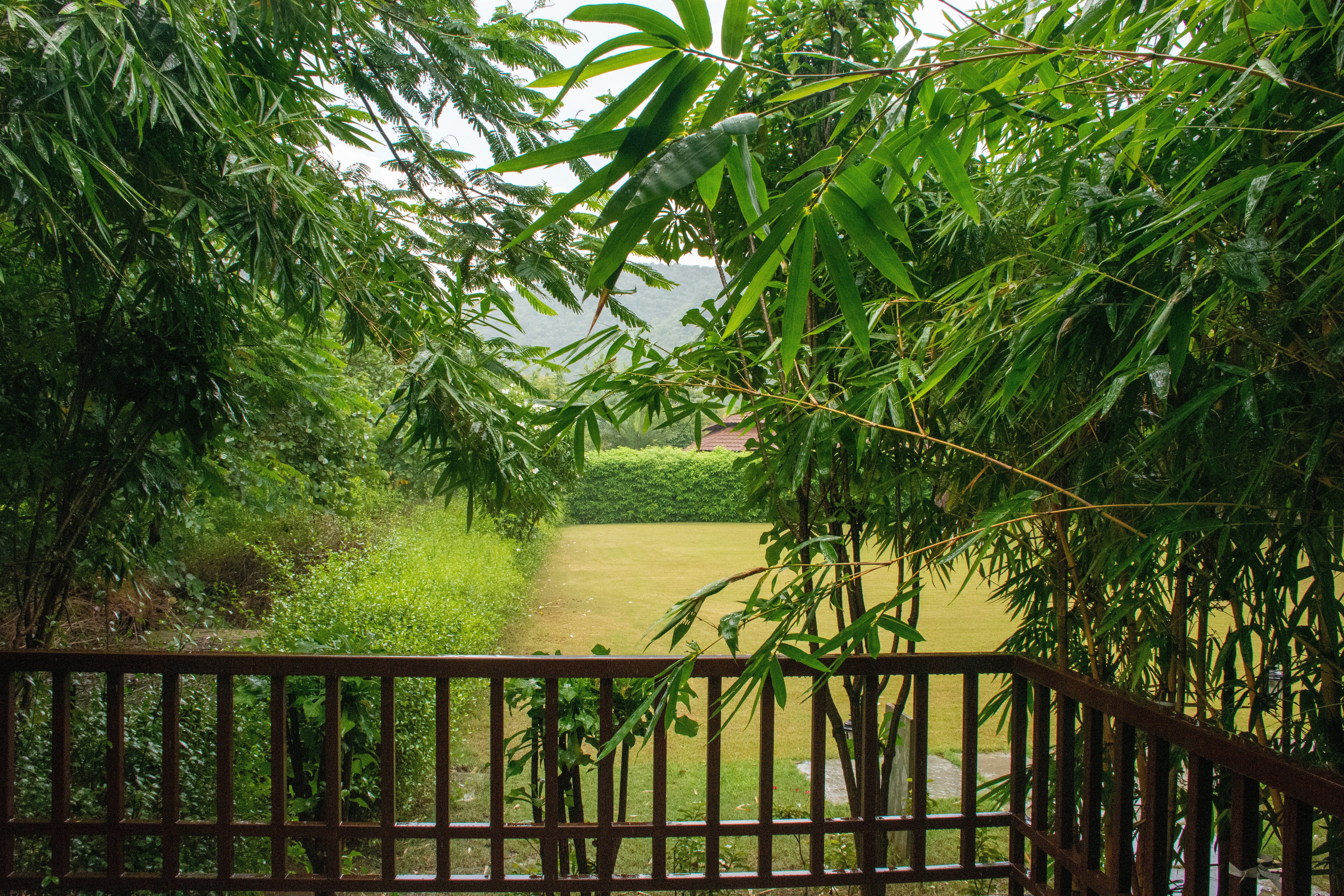 Photo by sandeshsharma27