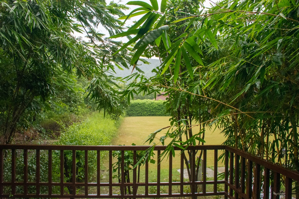 a view of a lush green field through trees