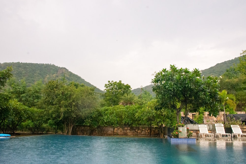 a swimming pool surrounded by lush green trees