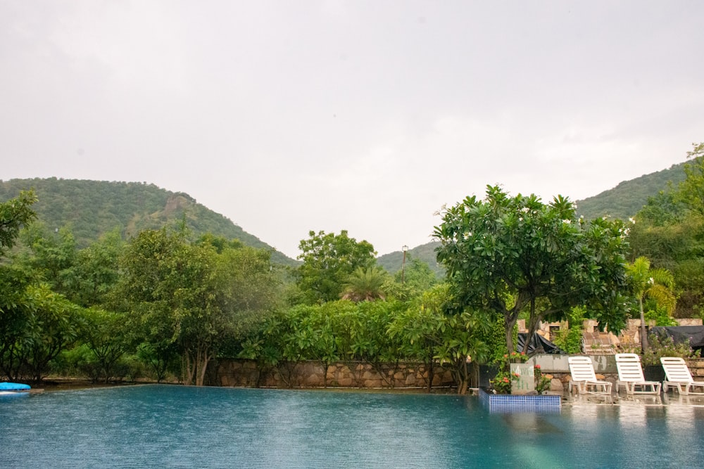 una piscina rodeada de frondosos árboles verdes