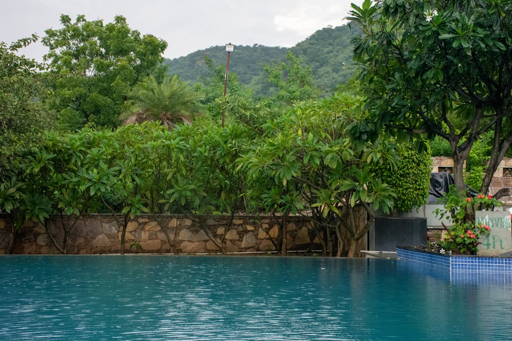 a pool surrounded by trees and a stone wall
