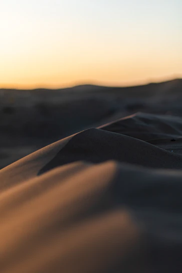 Sunset over the vast sand dunes of Merzouga with golden hues and shadows.