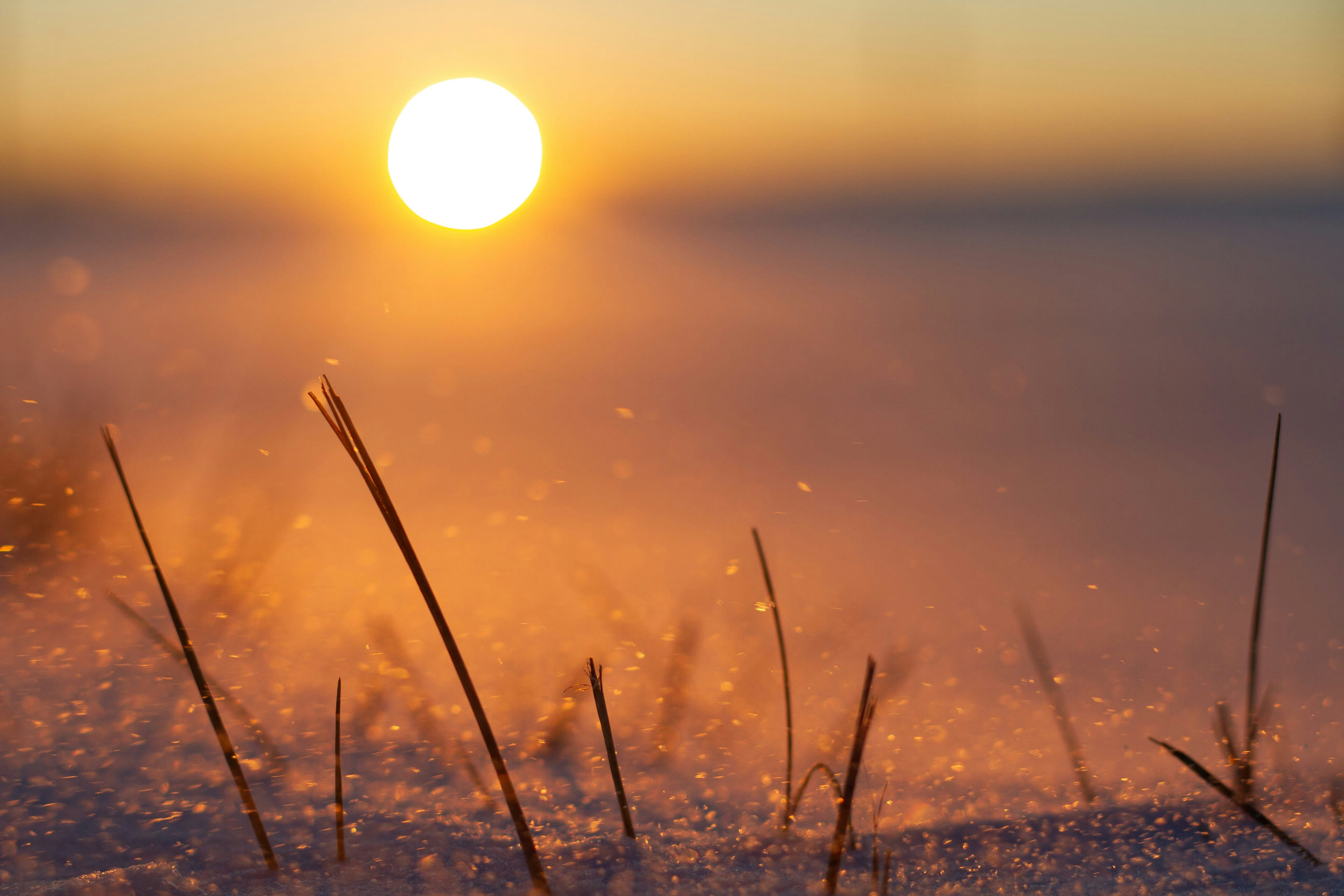 Photo by jojo4wheeler